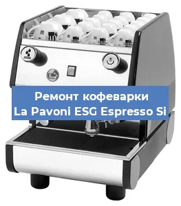 Чистка кофемашины La Pavoni ESG Espresso Si от кофейных масел в Челябинске